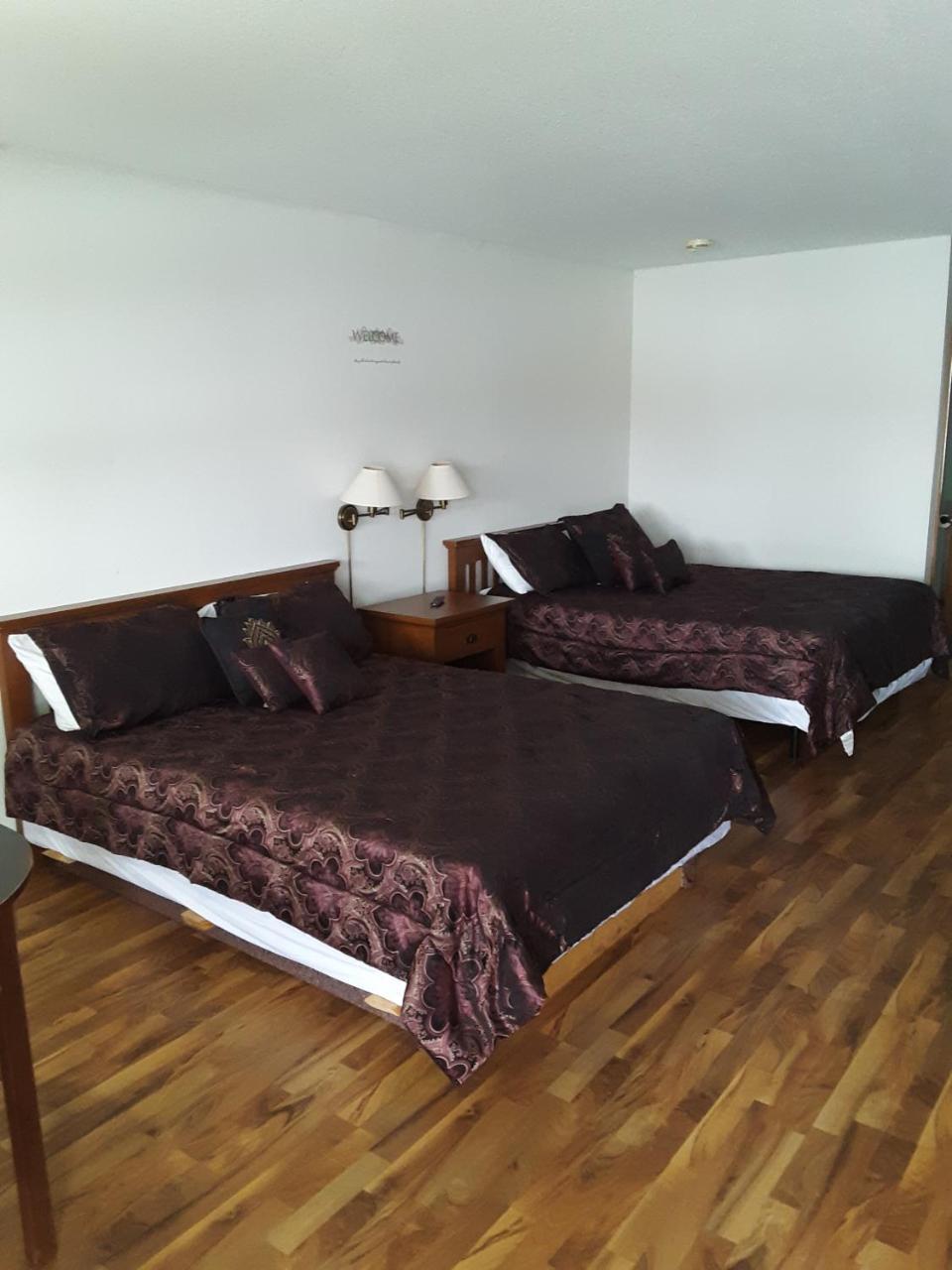 Plaza Motel 브라이언 객실 사진